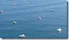 barcos_sep9 (1)_2