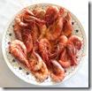 x_gambas Palamos