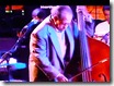 X_musico mambo
