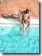 X_Meterse en la piscina (