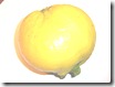 P1080600